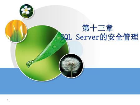 第十三章 SQL Server的安全管理.