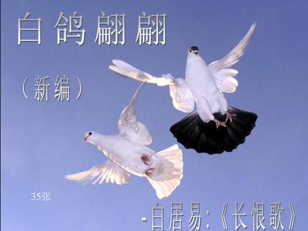 白鸽翩翩 （新编） 35张 -白居易:《长恨歌》.