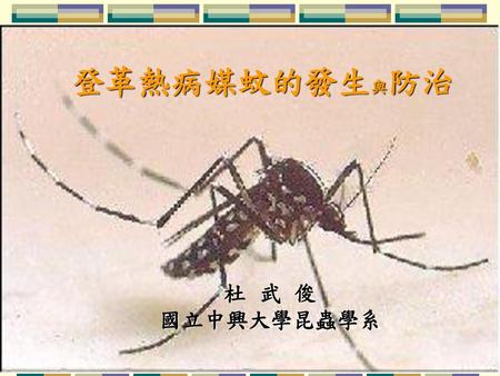 登革熱病媒蚊的發生與防治 杜 武 俊 國立中興大學昆蟲學系.
