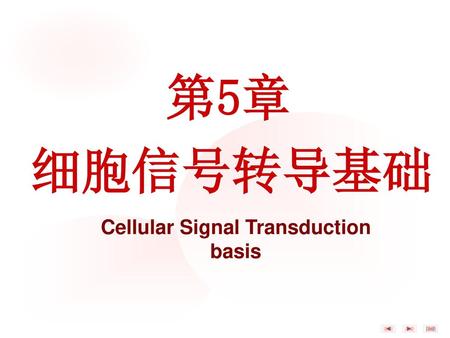 Cellular Signal Transduction basis