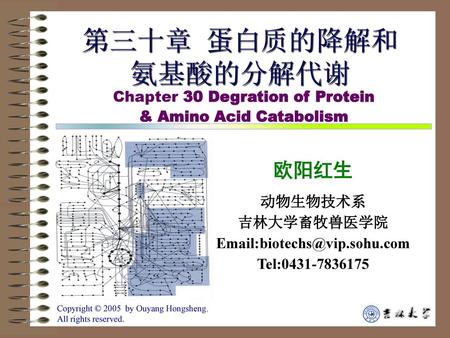 & Amino Acid Catabolism