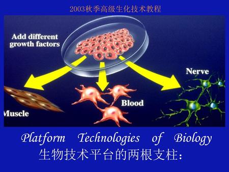 Platform Technologies of Biology 生物技术平台的两根支柱：