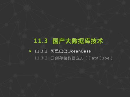 11.3 国产大数据库技术 11.3.1 阿里巴巴OceanBase 11.3.2 云创存储数据立方（DataCube）