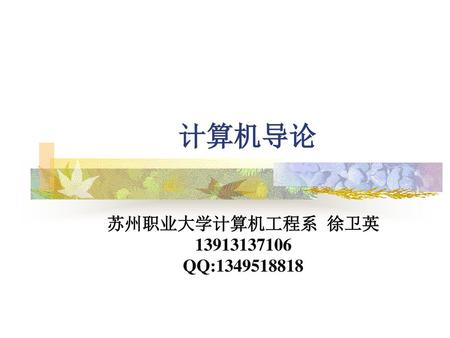 计算机导论 苏州职业大学计算机工程系 徐卫英 13913137106 QQ:1349518818.
