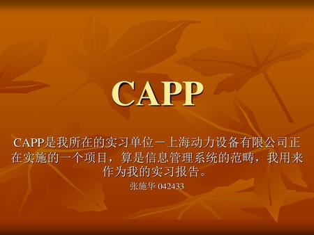 CAPP是我所在的实习单位－上海动力设备有限公司正在实施的一个项目，算是信息管理系统的范畴，我用来作为我的实习报告。 张施华
