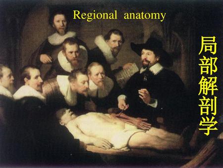 Regional anatomy 局部解剖学.
