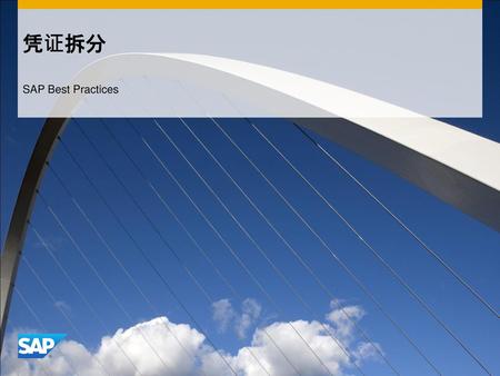 凭证拆分 SAP Best Practices.
