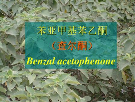 苯亚甲基苯乙酮 （查尔酮） Benzal acetophenone.
