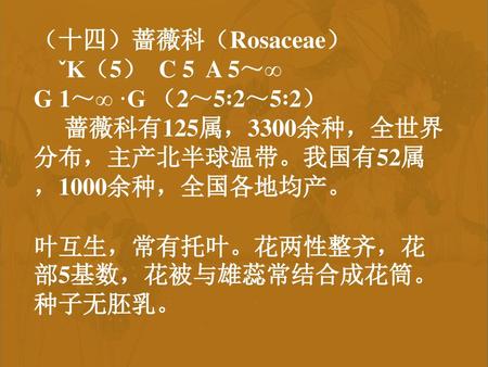（十四）蔷薇科（Rosaceae） ˇK（5）  C 5  A 5～∞ G 1～∞ ·G （2～5∶2～5∶2）