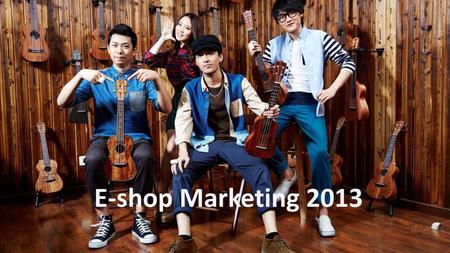 E-shop Marketing 2013.