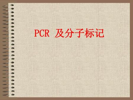 PCR 及分子标记.