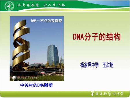 DNA--不朽的双螺旋 DNA分子的结构 杨家坪中学 王占旭 中关村的DNA雕塑.