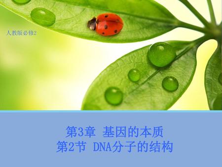 人教版必修2 第3章 基因的本质 第2节 DNA分子的结构.