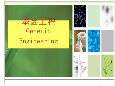 基因工程 Genetic Engineering