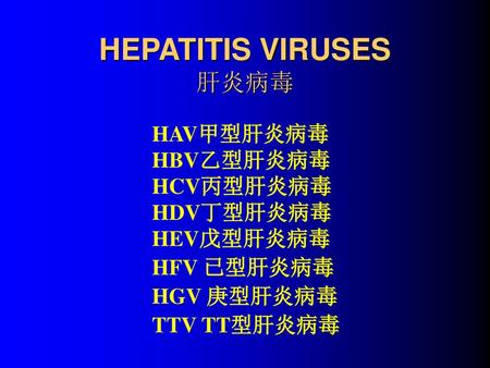 HEPATITIS VIRUSES 肝炎病毒