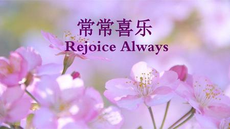 常常喜乐 Rejoice Always.