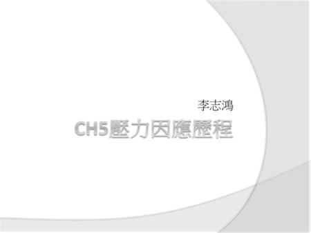 李志鴻 CH5壓力因應歷程.