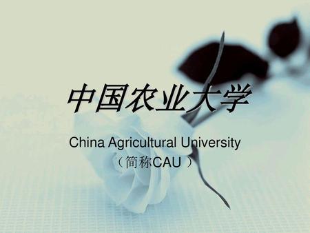 China Agricultural University （简称CAU ）