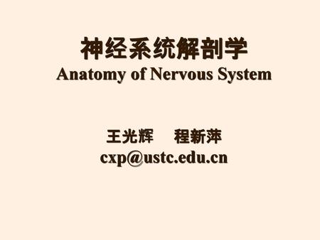 神经系统解剖学 Anatomy of Nervous System 王光辉 程新萍