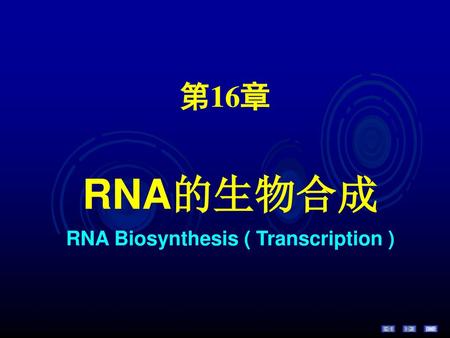 RNA Biosynthesis ( Transcription )