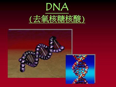 DNA (去氧核糖核酸).