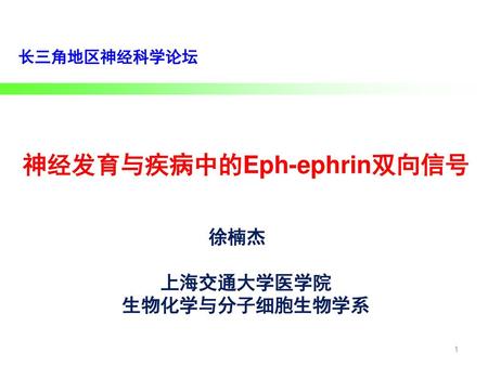 神经发育与疾病中的Eph-ephrin双向信号