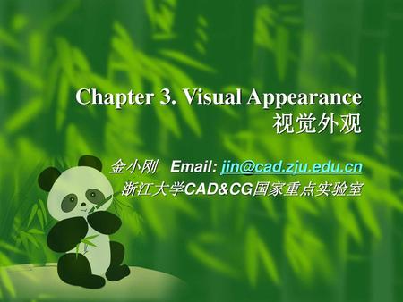 Chapter 3. Visual Appearance 视觉外观