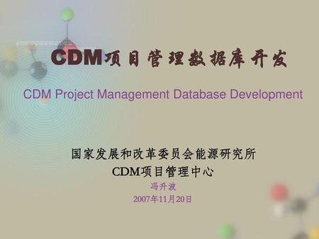 CDM Project Management Database Development