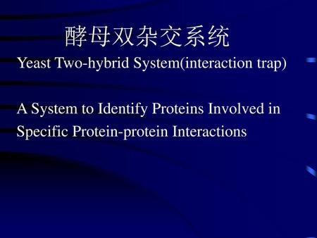 酵母双杂交系统 Yeast Two-hybrid System(interaction trap)