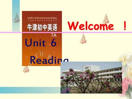 Welcome ! 7A Unit 6 Reading.