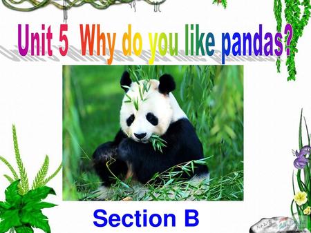 Unit 5 Why do you like pandas?