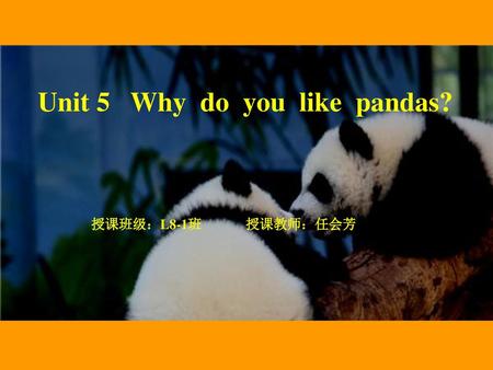 Unit 5 Why do you like pandas?