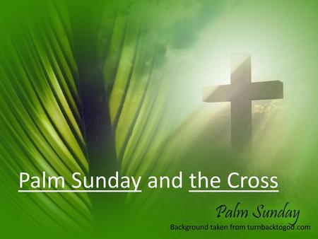 Palm Sunday and the Cross