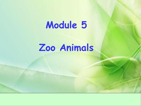 Module 5 Zoo Animals.