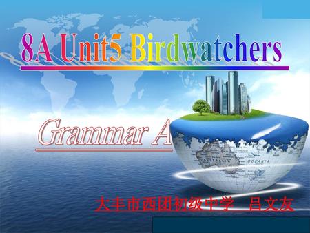 8A Unit5 Birdwatchers Grammar A 大丰市西团初级中学 吕文友 www.themegallery.com.