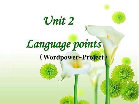 Unit 2 Language points （Wordpower~Project）.