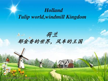 Holland Tulip world,windmill Kingdom 荷兰 郁金香的世界，风车的王国.