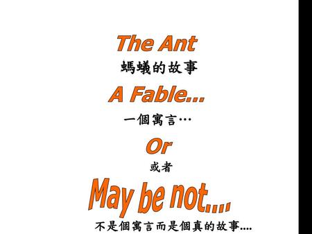 The Ant A Fable... Or 螞蟻的故事 May be not.... 一個寓言… 或者 不是個寓言而是個真的故事....