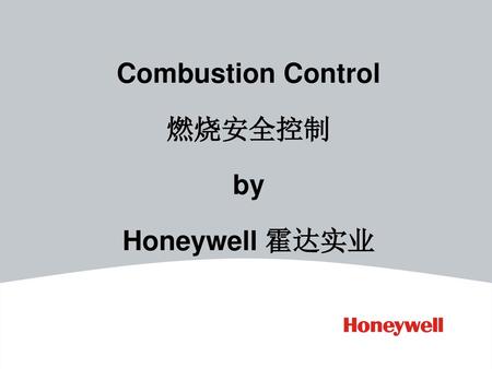 Combustion Control 燃烧安全控制 by Honeywell 霍达实业