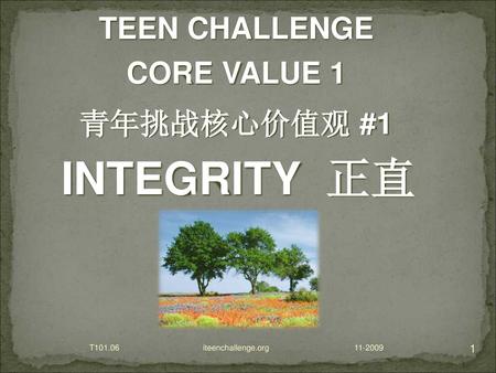 INTEGRITY 正直 TEEN CHALLENGE CORE VALUE 1 青年挑战核心价值观 #1