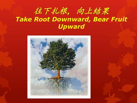 Take Root Downward, Bear Fruit Upward