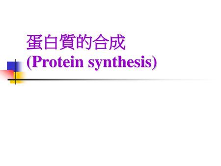 蛋白質的合成 (Protein synthesis)