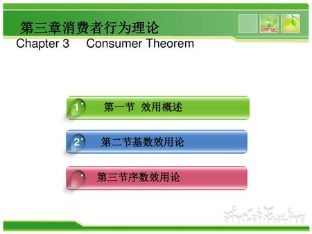 第三章消费者行为理论 Chapter 3 Consumer Theorem