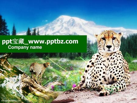 Ppt宝藏_www.pptbz.com Company name.
