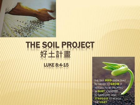 The SOIL Project 好土計畫 Luke 8:4-15