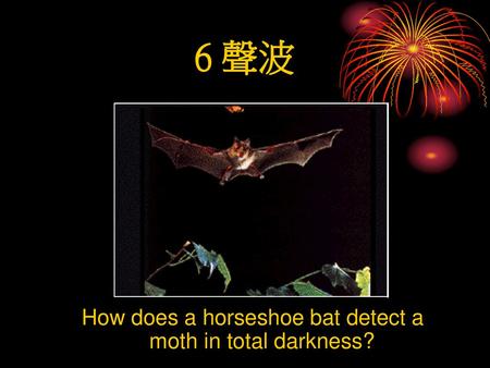How does a horseshoe bat detect a moth in total darkness?