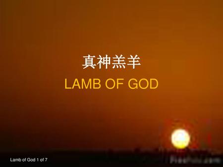 真神羔羊 LAMB OF GOD Lamb of God 1 of 7.