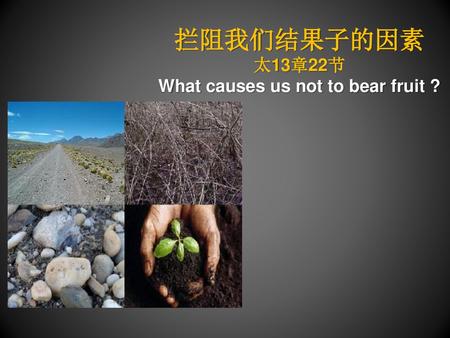 What causes us not to bear fruit ?