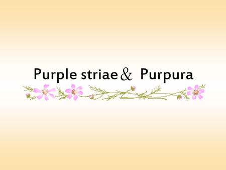 Purple striae＆ Purpura