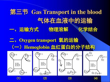 第三节 Gas Transport in the blood 气体在血液中的运输